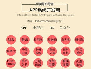 华登区块狗系统开发软件的技术推广服务解析